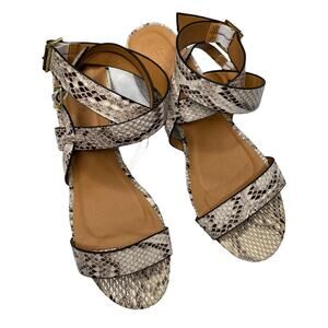 Charlotte Russe Animal Print  Sandals - Sz 8